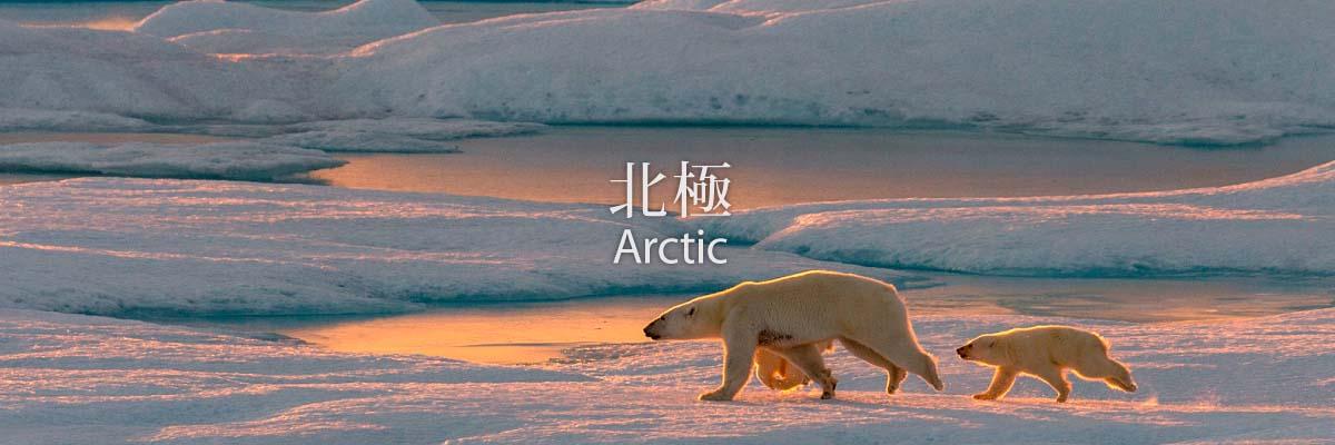 banner_arctic_2.jpg