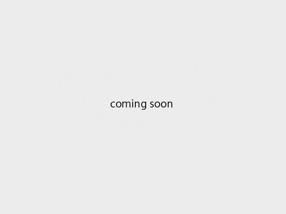 セレブリティ・エキサイト